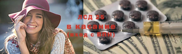 ГАЛЛЮЦИНОГЕННЫЕ ГРИБЫ Каменногорск