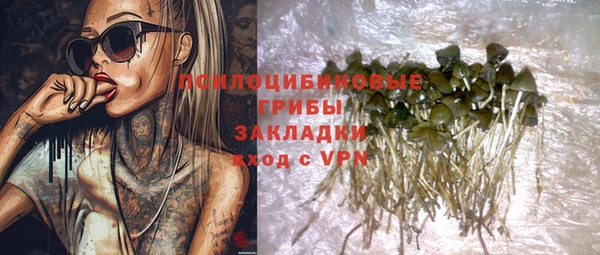 гашик Инсар