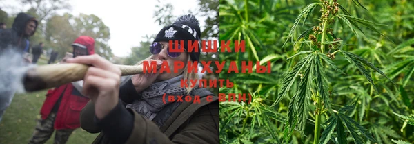 ГАЛЛЮЦИНОГЕННЫЕ ГРИБЫ Каменногорск
