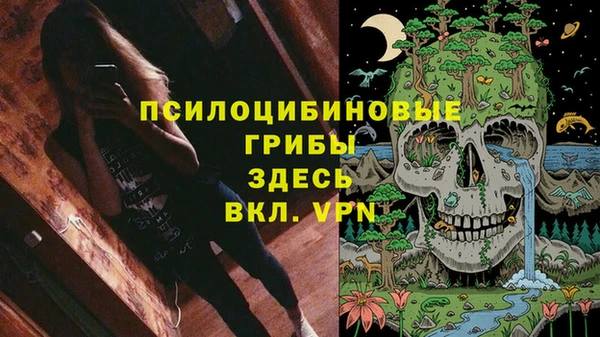 ГАЛЛЮЦИНОГЕННЫЕ ГРИБЫ Каменногорск