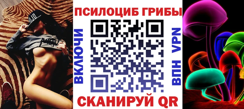 Купить закладки  Рудня  Псилоцибиновые грибы прущие грибы 
