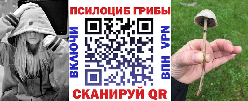 Галлюциногенные грибы прущие грибы Рудня